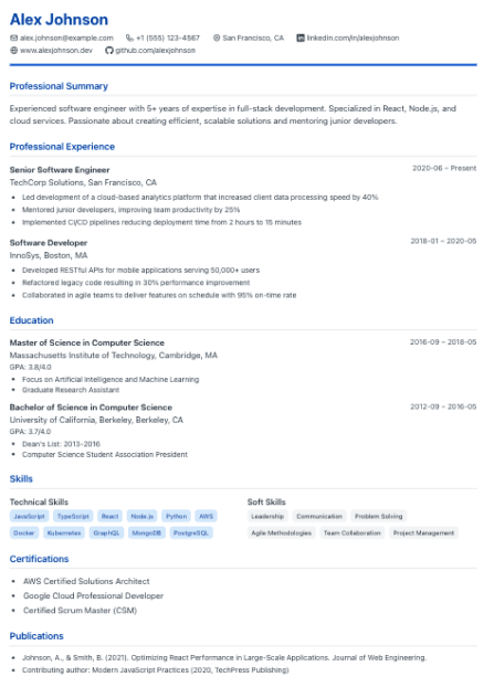 Professional CV Template Preview